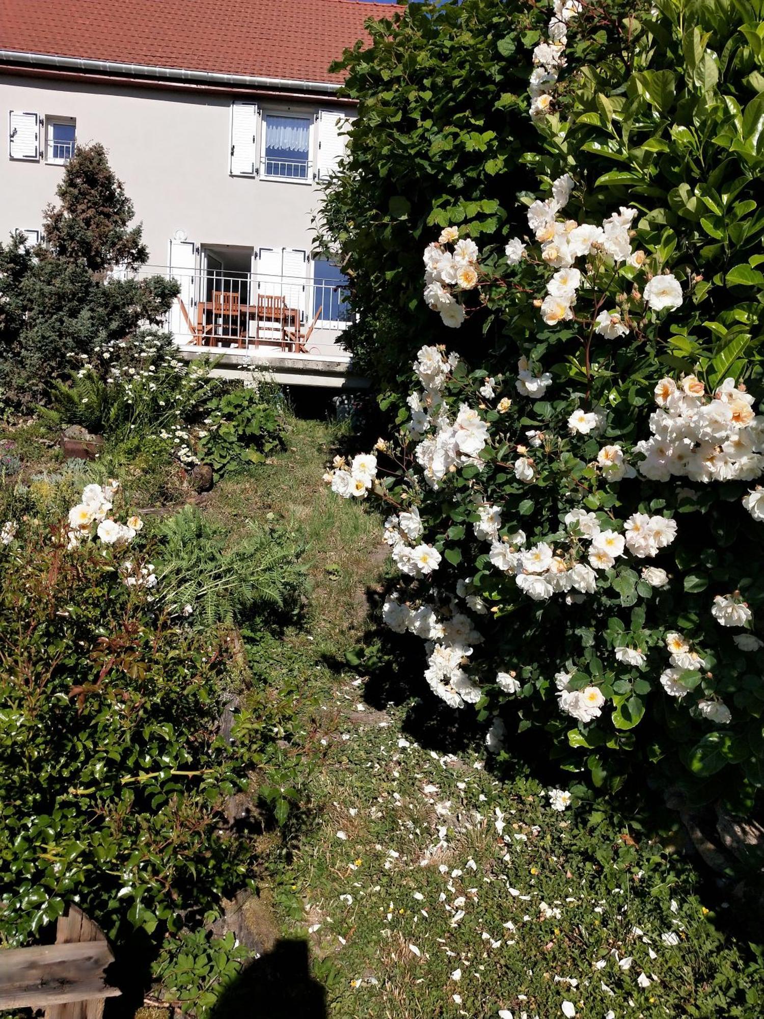 Gite Les Papillons Bining Exterior photo