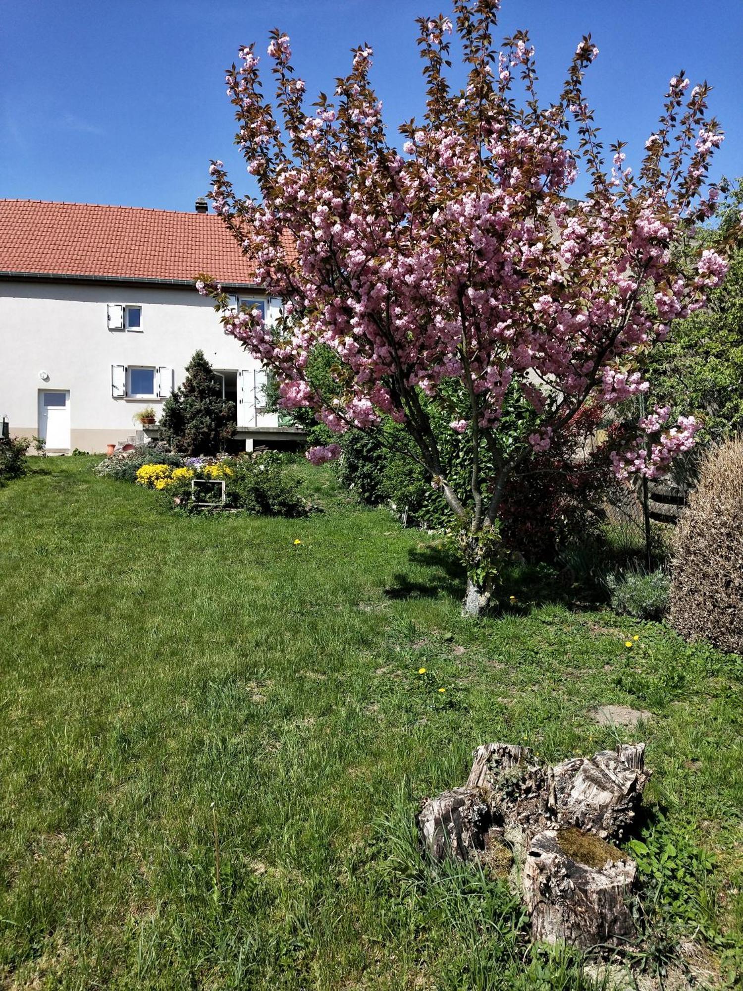 Gite Les Papillons Bining Exterior photo