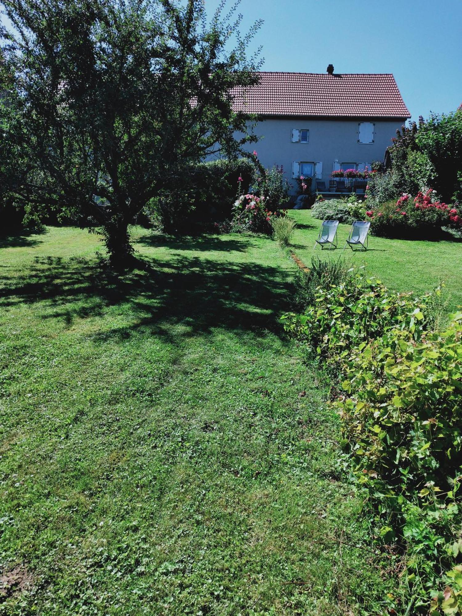 Gite Les Papillons Bining Exterior photo